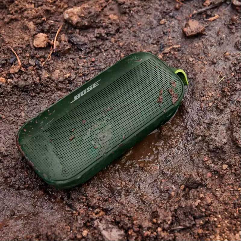 Портативная колонка Bose Soundlink Flex