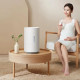 Умный увлажнитель воздуха Xiaomi Mijia Pure Smart Humidifier 2 Lite
