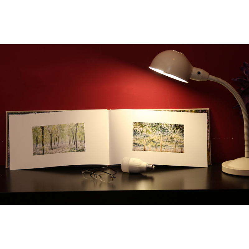 Умная лампочка Xiaomi Yeelight Smart LED BULB 1S RGB