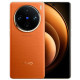 Смартфон Vivo X100 Pro (12+256)