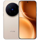 Смартфон Vivo X300 Pro (16+512) CN