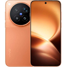 Смартфон Vivo X500 Pro Max (16+512) CN