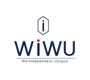 Аксессуары WiWU