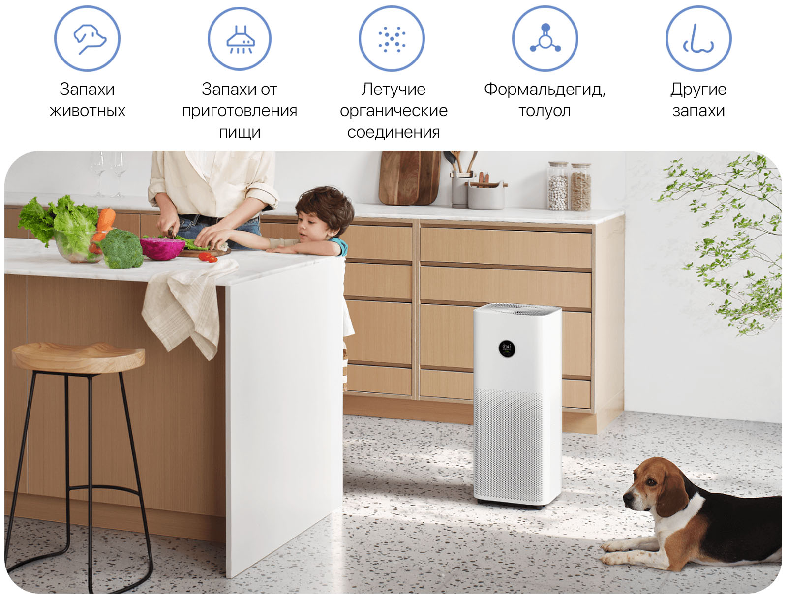 ⚡Очиститель воздуха Xiaomi Smart Air Purifier 4 Pro EU цена в Бишкеке -  SOFTECH.KG